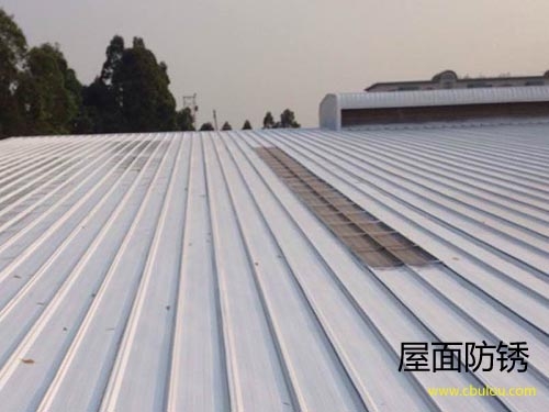 金屬屋面防腐防銹，惠州防腐防銹公司，惠州防水補漏公司 zzmarry.cn